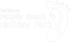 Kaikoura Peketa Beach Holiday Park