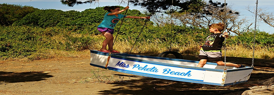 things to do at Kaikoura Peketa Beach Holiday Park